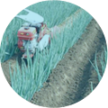 開溝機(jī)